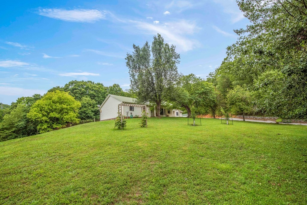542 Bill Miller Road Spring City, TN 37381 - Photo 45 of 60 Gallery Image 45