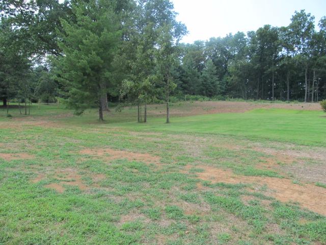 545 Tri Cities Farm Road Winchester, TN 37398 - Photo 11 of 14 View from back porch