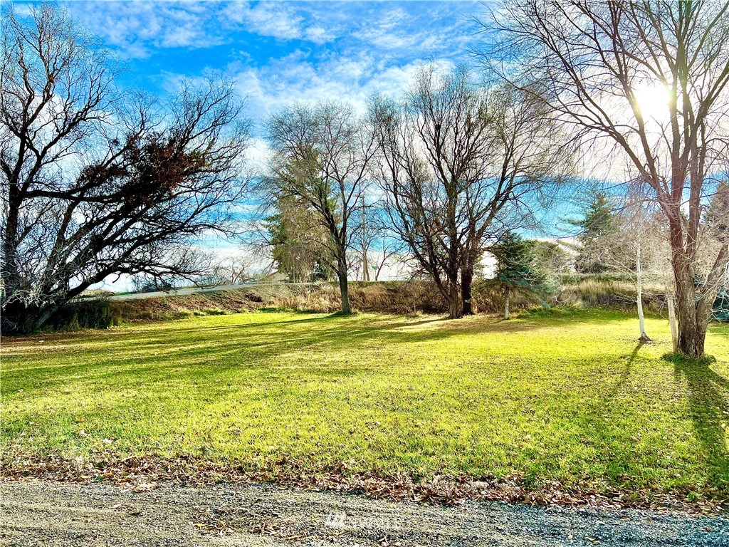 53 Woods Road Omak, WA 98841 - Photo 10 of 40 a view of an ocean with a trees