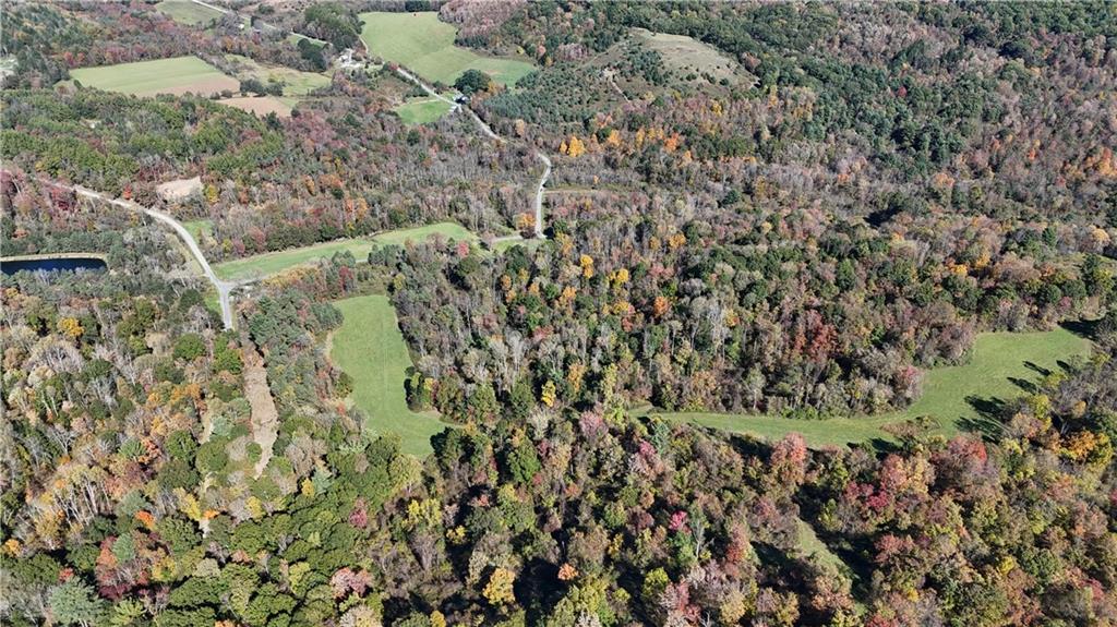 350 Davis Hill Road Summerville, PA 15864 - Photo 2 of 4 a view of a forest with a tree