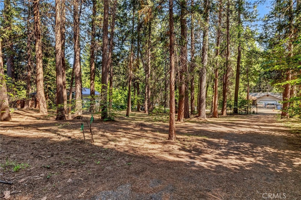 6463 Hollywood Road Magalia, CA 95954 - Photo 13 of 64 Front yard...