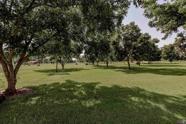 $579,000 | 8784 Island Road, Ventress, LA 70783