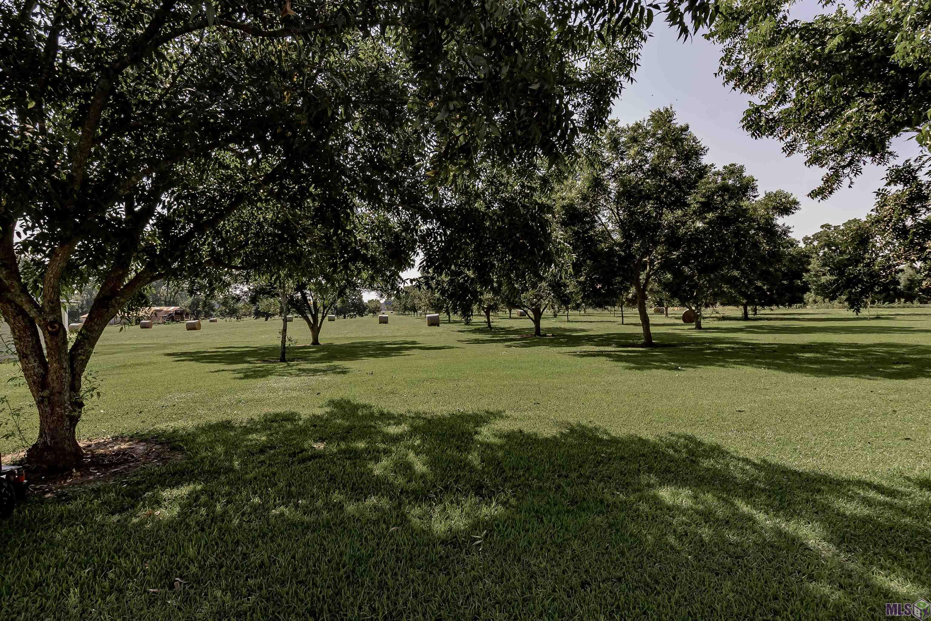 8784 Island Road Ventress, LA 70783 - Photo 15 of 31