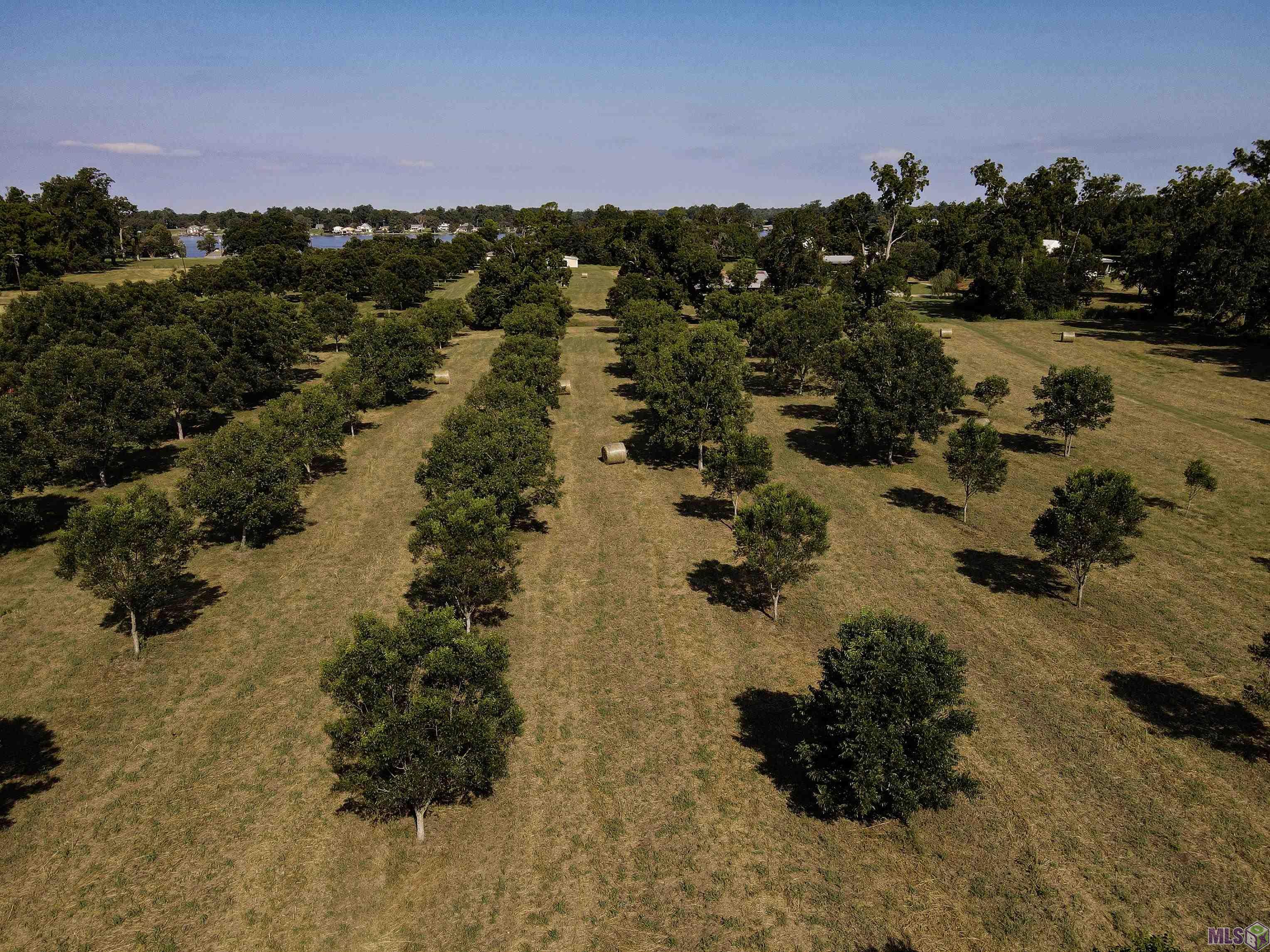 8784 Island Road Ventress, LA 70783 - Photo 2 of 31