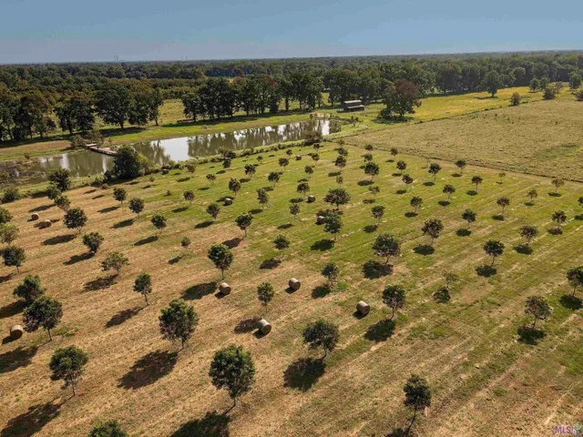 $579,000 | 8784 Island Road, Ventress, LA 70783