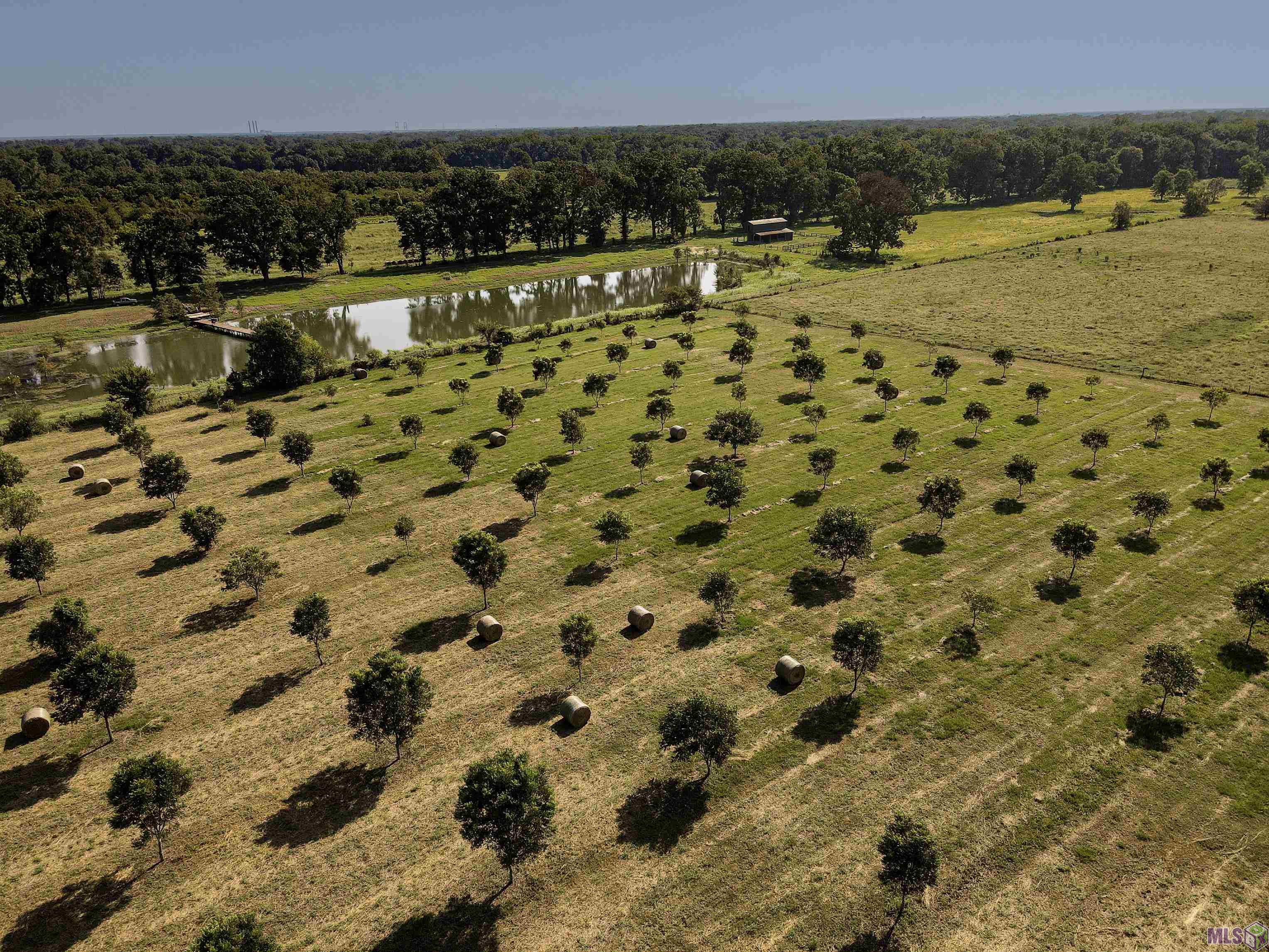 8784 Island Road Ventress, LA 70783 - Photo 5 of 31