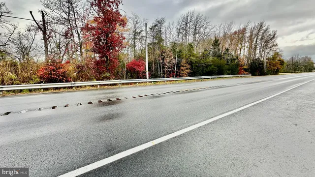 a picture of a glass window with flower pot