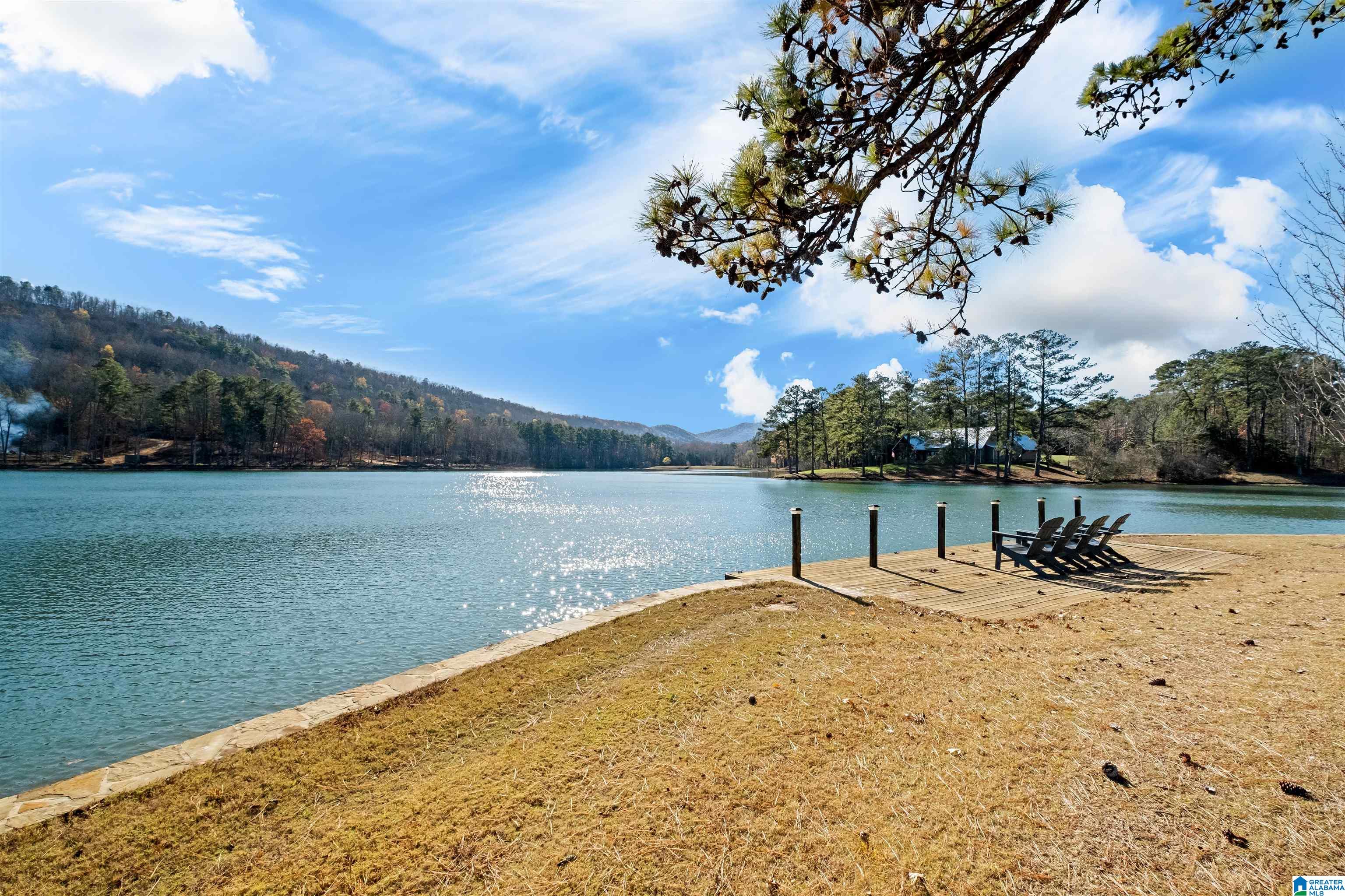 1200 Twin Pines Road Sterrett, AL 35147 - Photo 4 of 89
