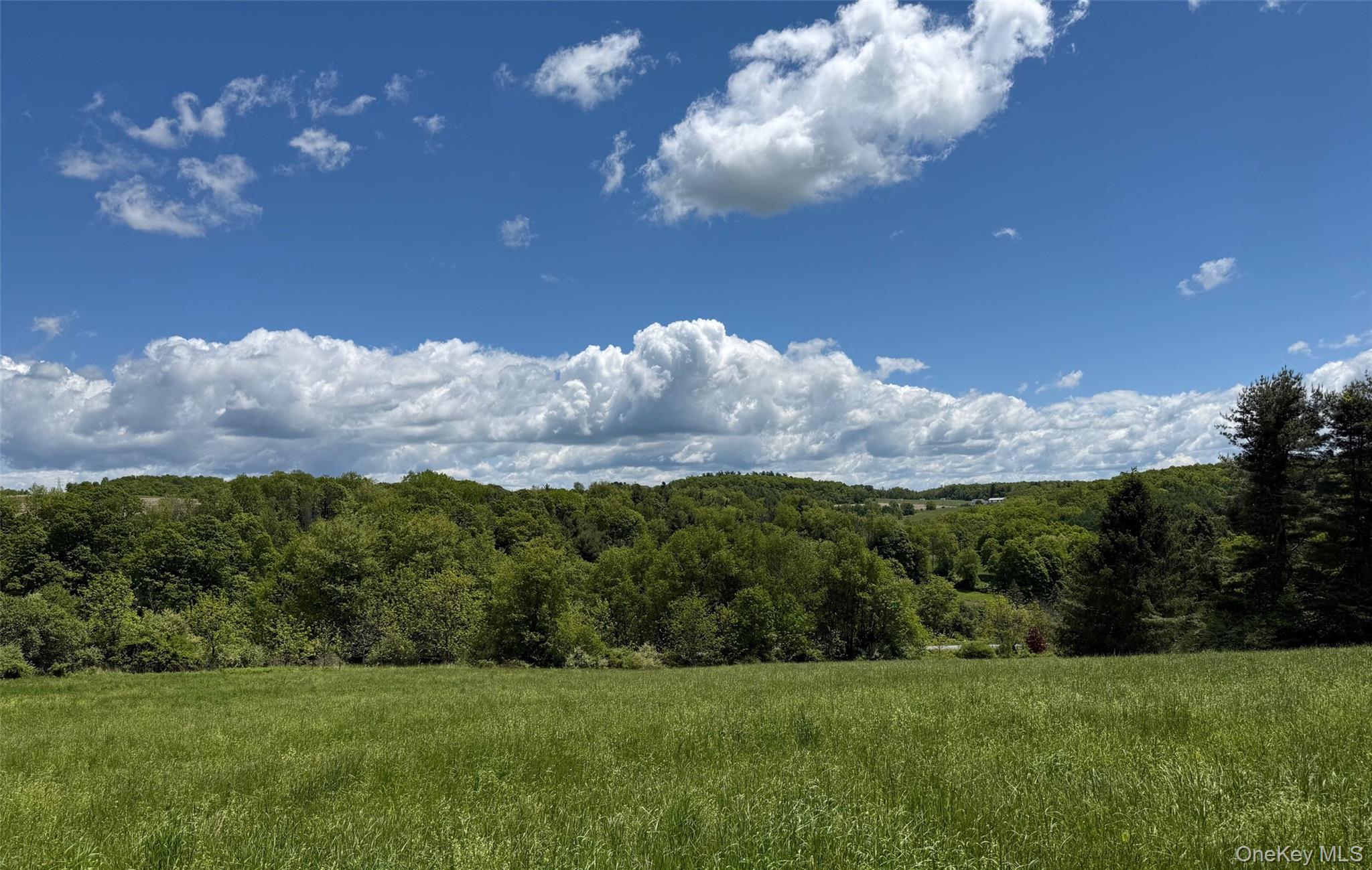 Smithfield Road Millerton, NY 12546 - Photo 3 of 10 View of mountain background with a heavily wooded area