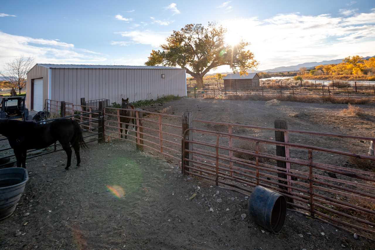 4556 W Road De Beque, CO 81630 - Photo 16 of 37 Gallery Image 16