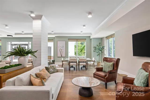 a living room with furniture potted plant and a large window