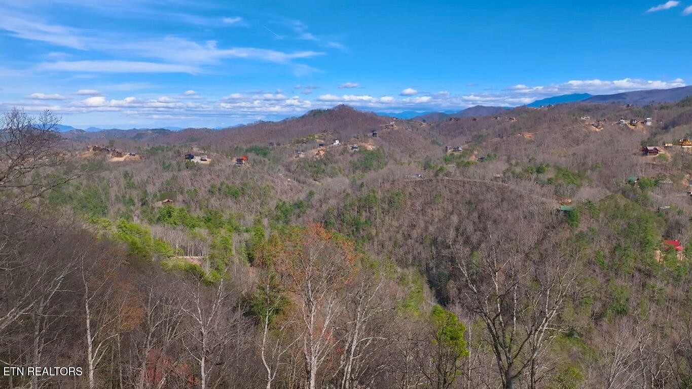 40 Black Walnut Flats Road Sevierville, TN 37862 - Photo 21 of 22 Gallery Image 21