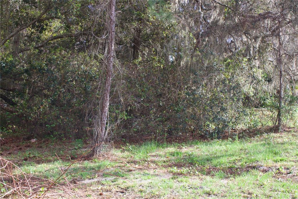 Ridge Road, Unit 47 Tavares, FL 32778 - Photo 21 of 41