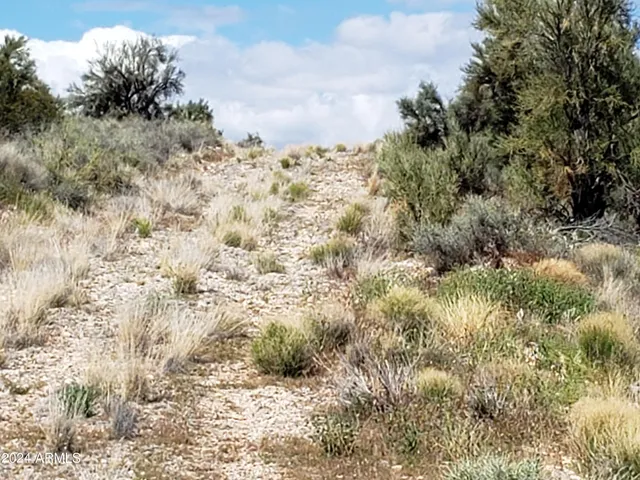 $29,900 | Xxxx East Xxxx E Salome Drive, Kingman, AZ 86401