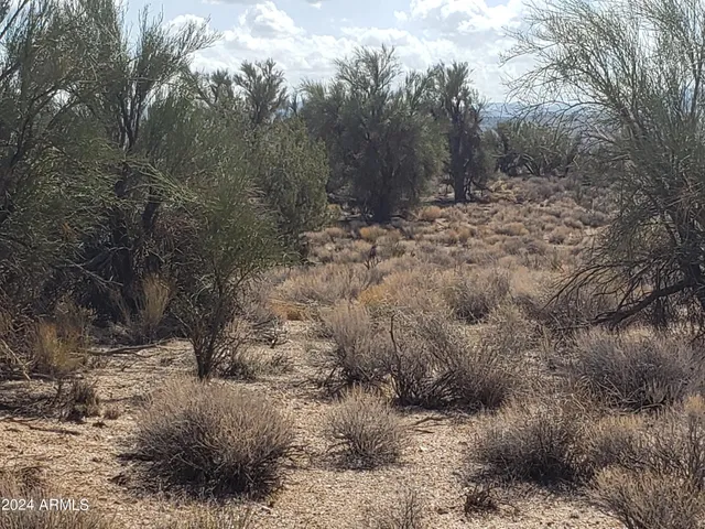 $29,900 | Xxxx East Xxxx E Salome Drive, Kingman, AZ 86401