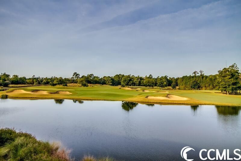 109 Furman Circle Conway, SC 29526 - Photo 28 of 30