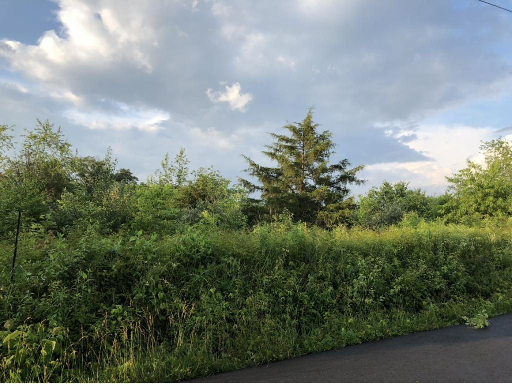 0 Links Mill Road, Unit 12 Greeneville, TN 37743 - Photo 1 of 6 Land from road