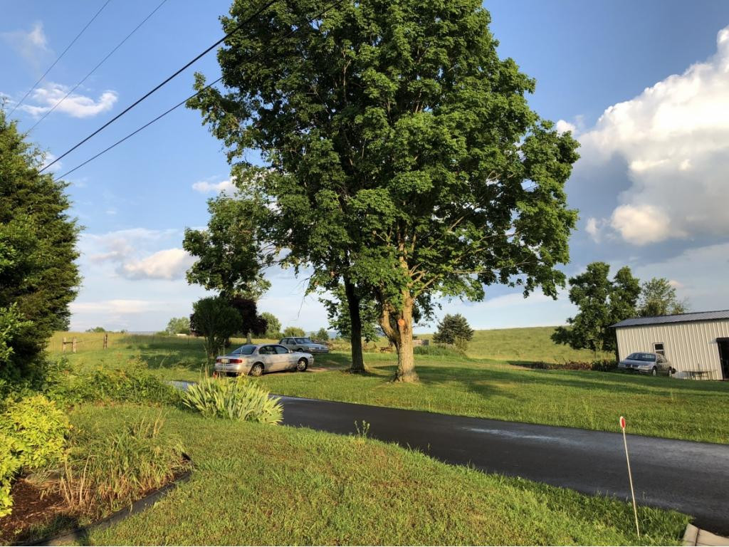 0 Links Mill Road, Unit 12 Greeneville, TN 37743 - Photo 2 of 6 Road in front of land