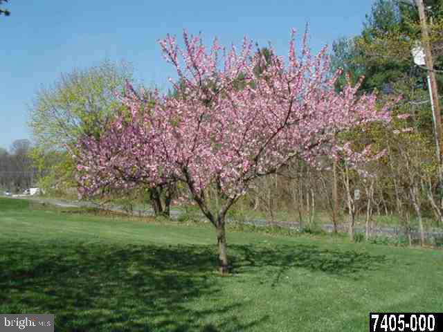 3210 Fairfield Road Gettysburg, PA 17325 - Photo 7 of 13