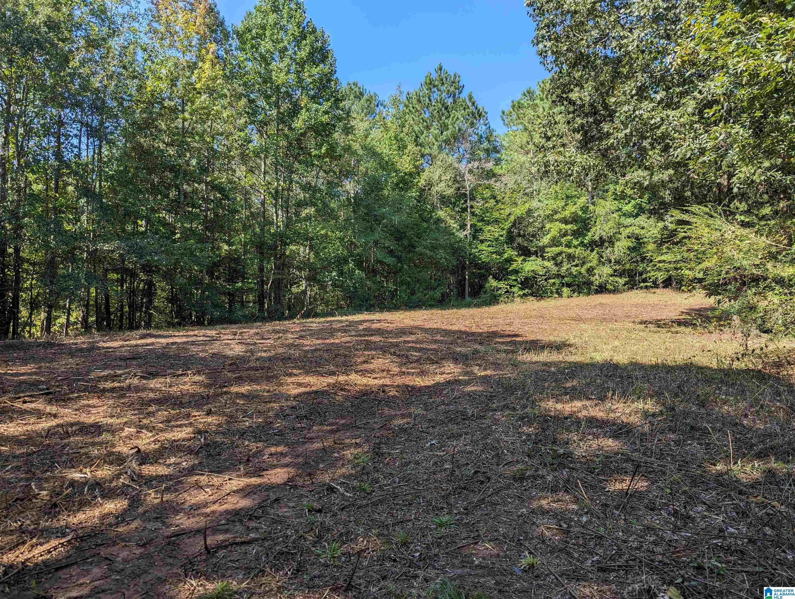 534 County Road, Unit 35 Woodland, AL 36280 - Photo 16 of 22