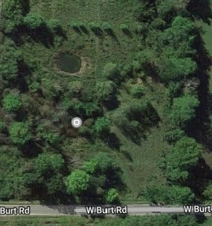 20689 West Burt Road Brant, MI 48614 - Photo 2 of 5