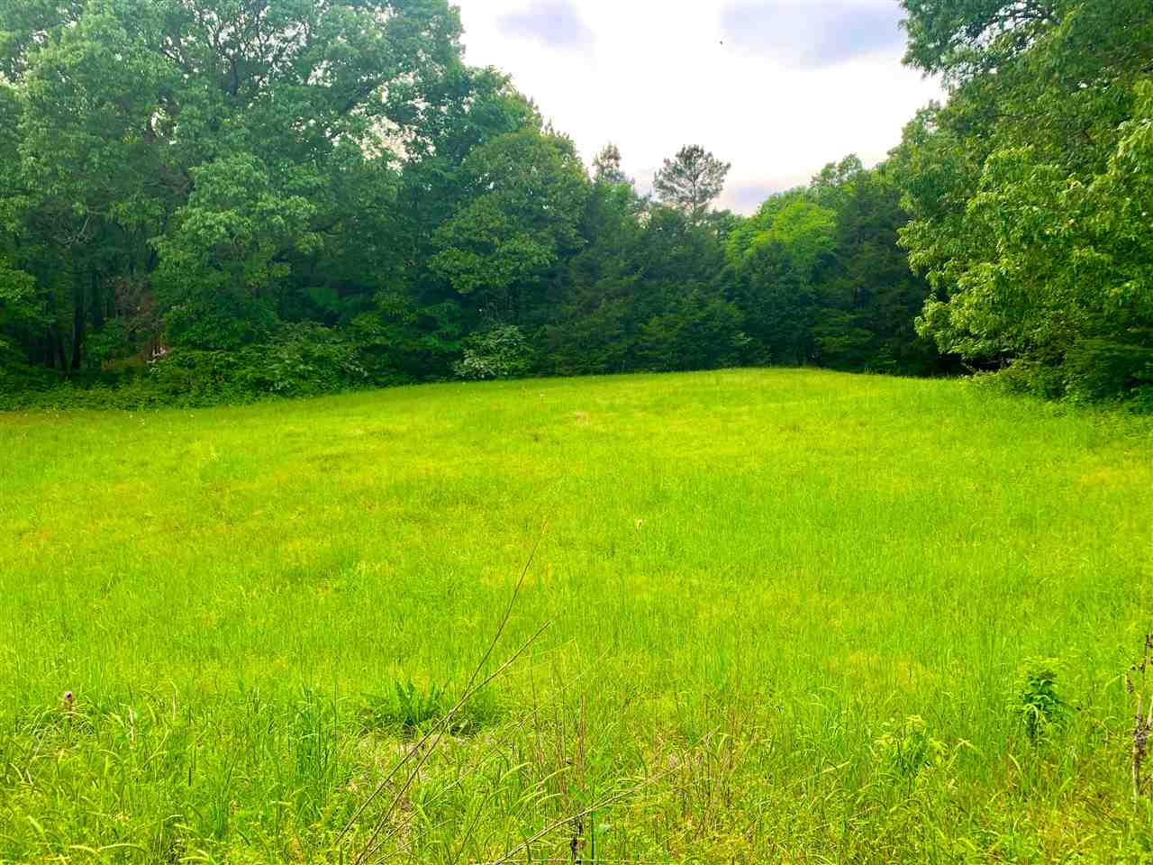 1 Clinton-Tinnin Road Clinton, MS 39056 - Photo 1 of 1 Photo 1