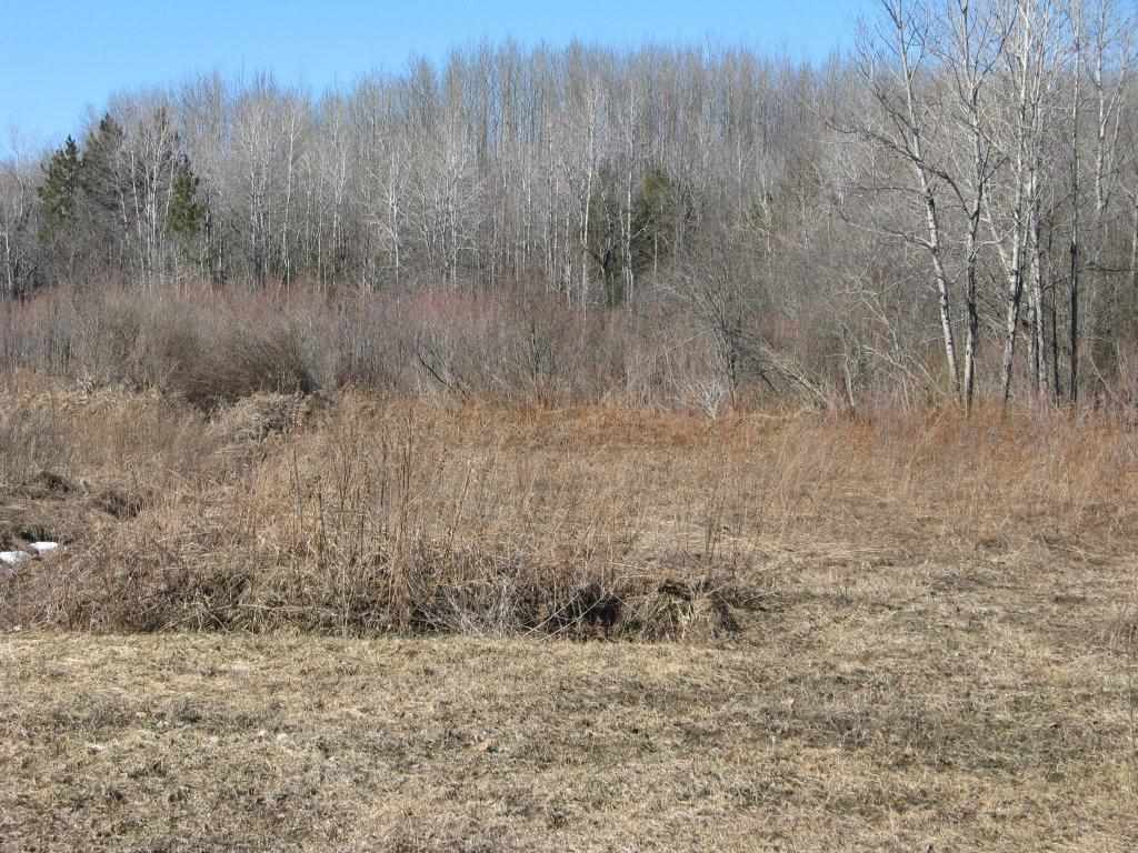 5584 West 12 Road Mesick, MI 49668 - Photo 52 of 73 1796970-57.JPG