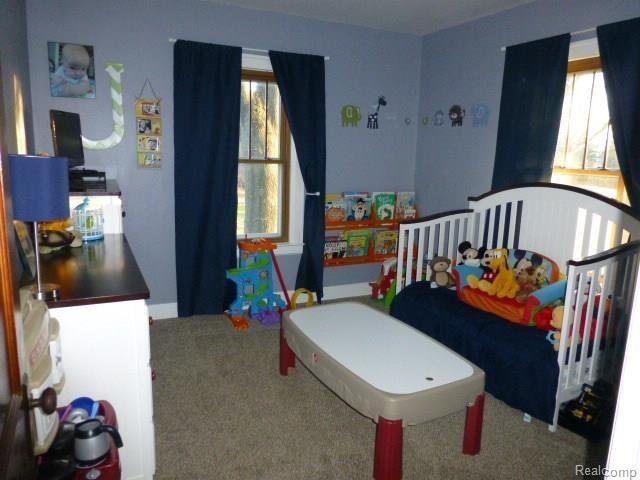 8395 Shaw Road Imlay City, MI 48444 - Photo 41 of 58 P1010823.jpg
