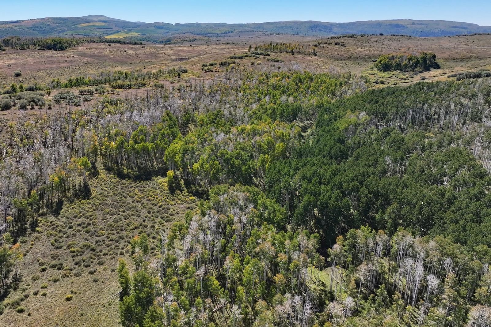 Tbd Divide Road, Unit ENTIRE PACKAGE Whitewater, CO 81527 - Photo 28 of 41 an aerial view of mountain with trees around