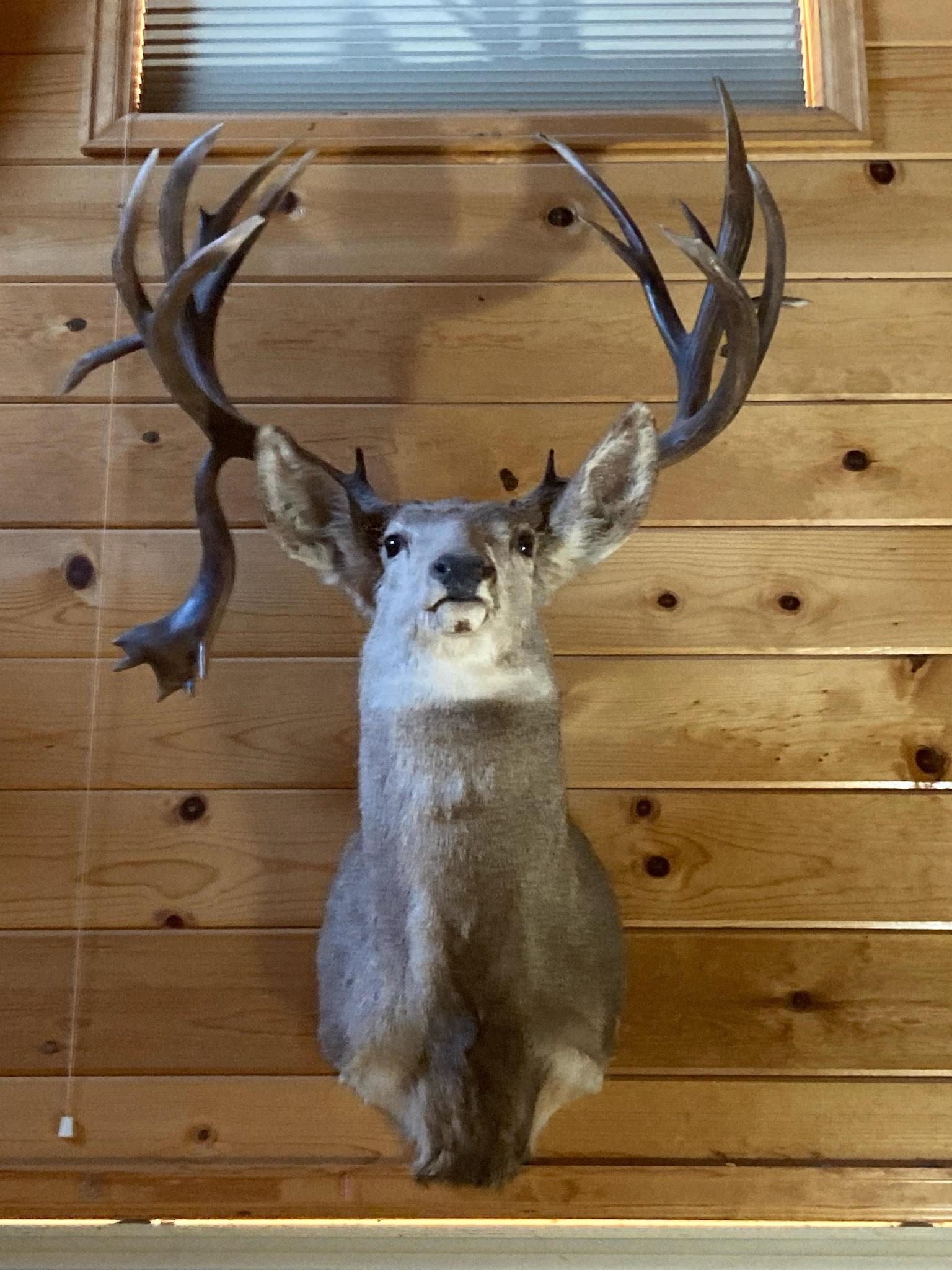 Tbd Divide Road, Unit ENTIRE PACKAGE Whitewater, CO 81527 - Photo 33 of 41 a close up of a shower