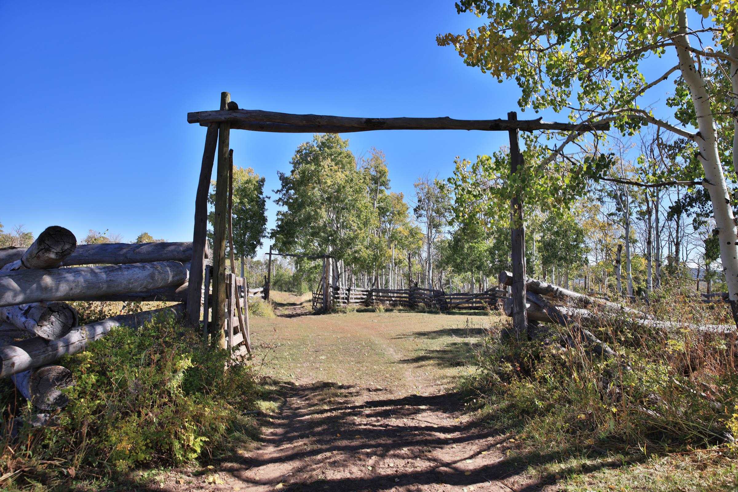 Tbd Divide Road, Unit ENTIRE PACKAGE Whitewater, CO 81527 - Photo 5 of 41 a view of a yard with a tree