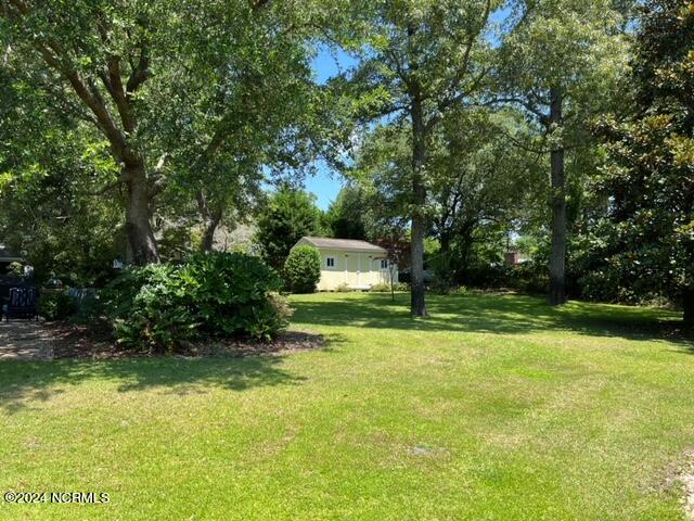 309 Center Drive Hampstead, NC 28443 - Photo 28 of 37 Backyard Shed