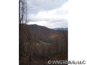 1 Glacier Road, Unit 1 Canton, NC 28716 - Photo 11 of 12 Gallery Image 11