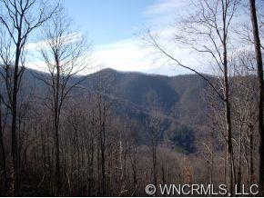 1 Glacier Road, Unit 1 Canton, NC 28716 - Photo 4 of 12 Gallery Image 4