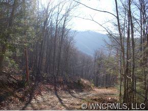 1 Glacier Road, Unit 1 Canton, NC 28716 - Photo 8 of 12 Gallery Image 8