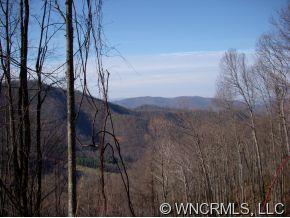 1 Glacier Road, Unit 1 Canton, NC 28716 - Photo 10 of 12 Gallery Image 10