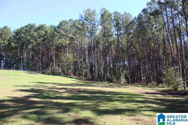103 Paradise Way Wilsonville, AL 35186 - Photo 14 of 32