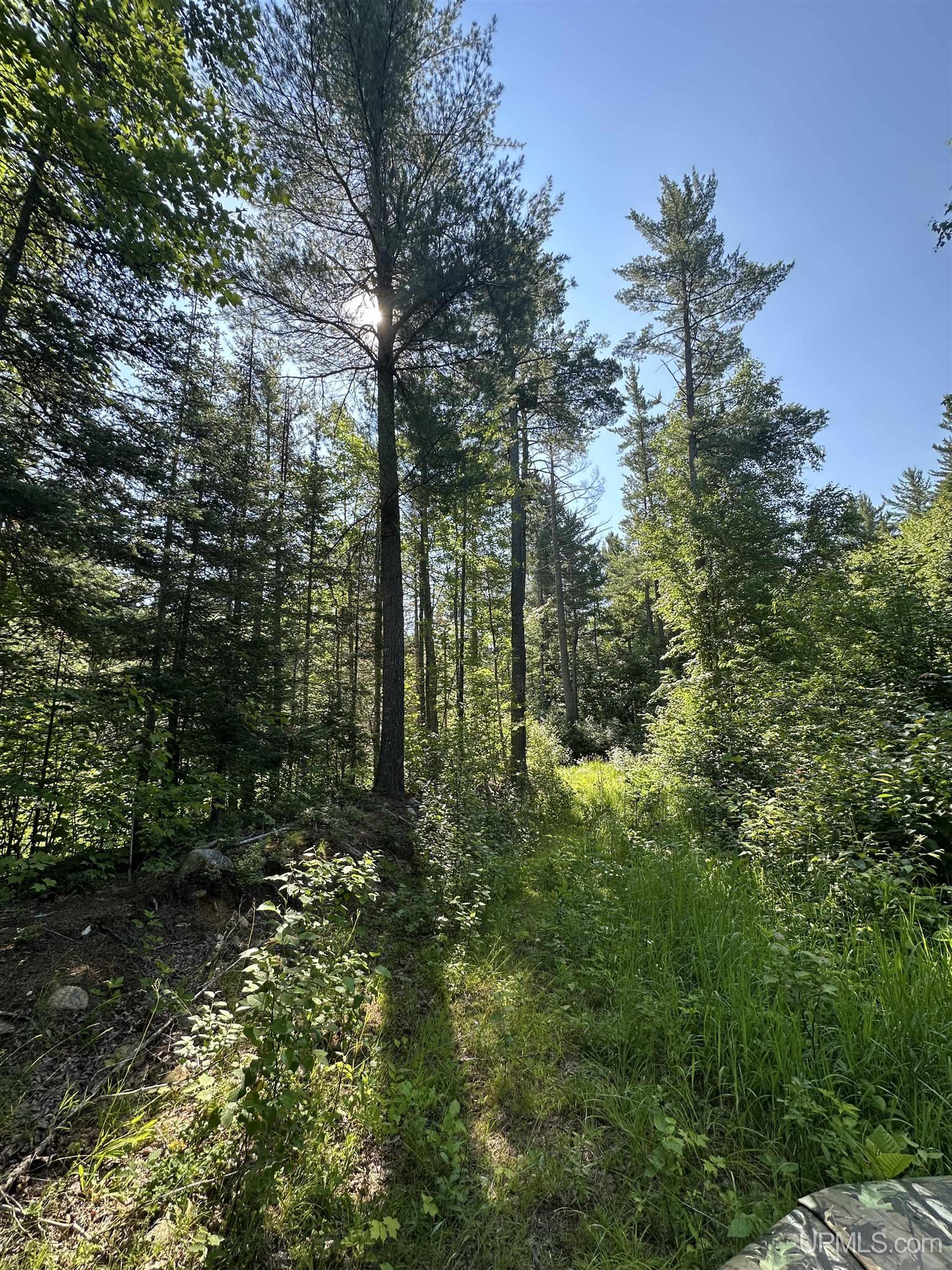 Off Indian Lake Road Michigamme, MI 49861 - Photo 3 of 9