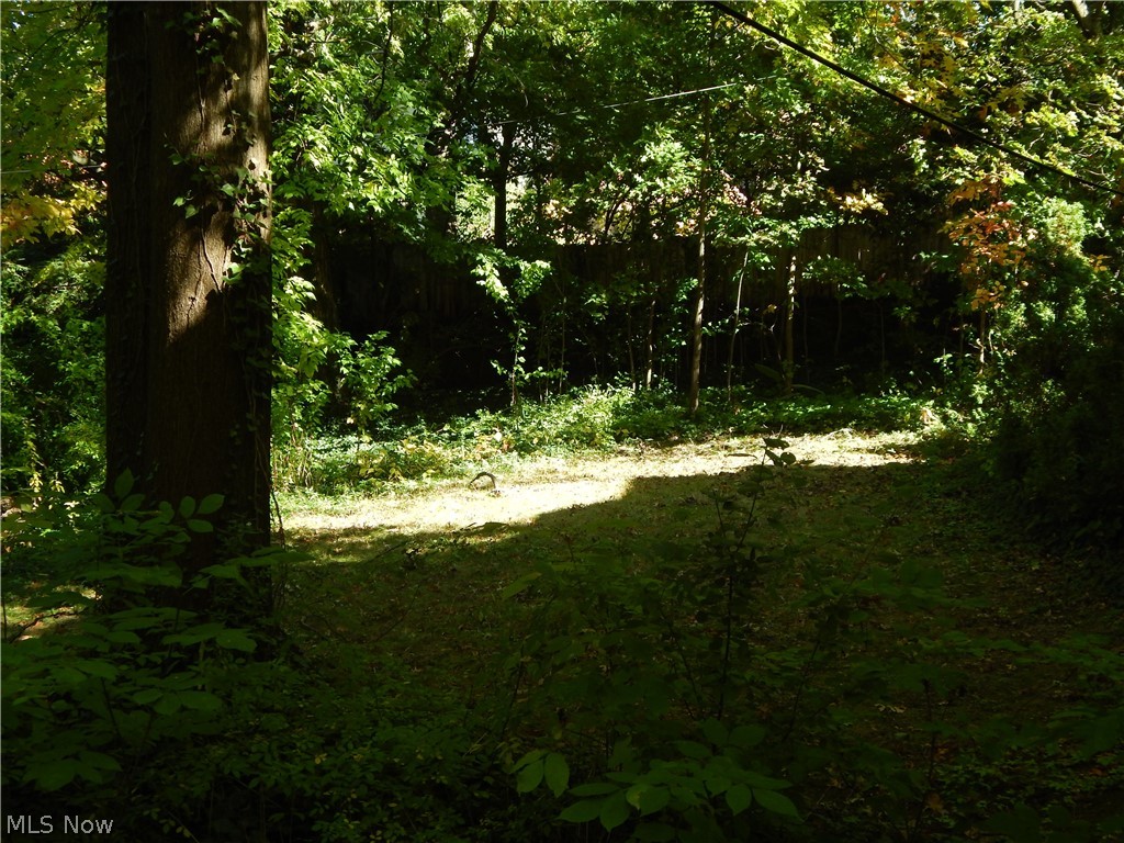 2301 South Overlook Road Cleveland, OH 44106 - Photo 17 of 17 Gallery Image 17