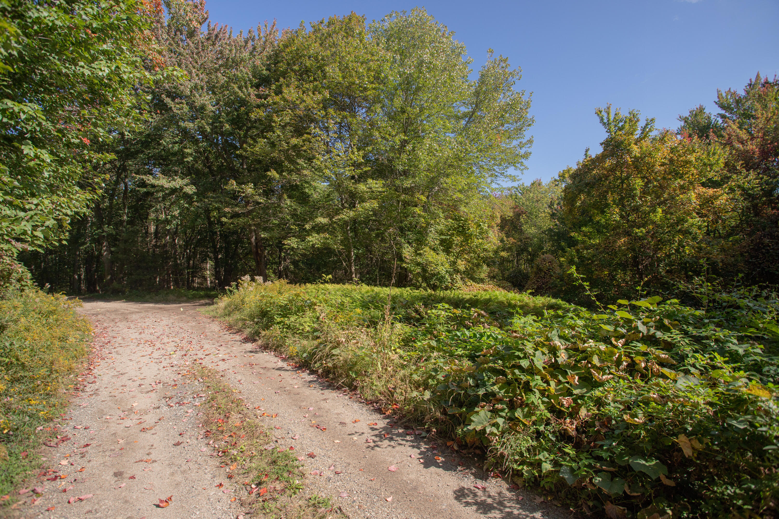 7 Josiah Currier Road Cape Neddick, ME 03902 - Photo 4 of 30 7 Josiah Currier Road