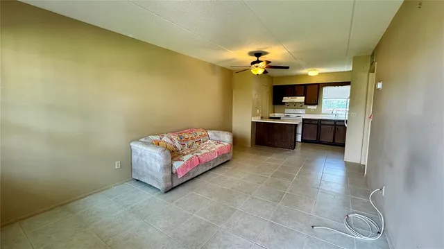 a living room with a couch and potted plant
