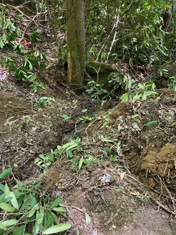 $980,612 | 0 Flea Mountain Road, Murphy, NC 28906