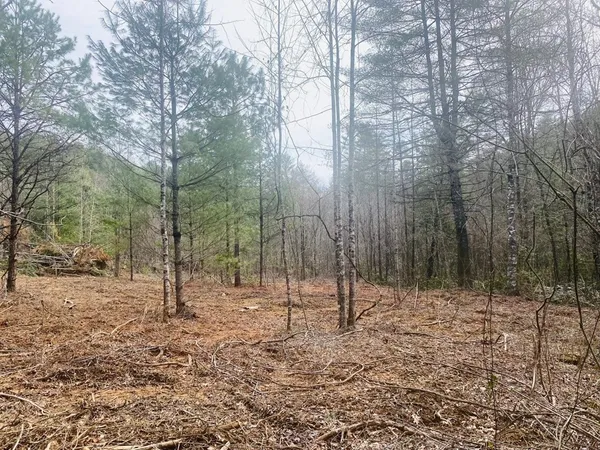 $899,900 | 0 Flea Mountain Road, Murphy, NC 28906