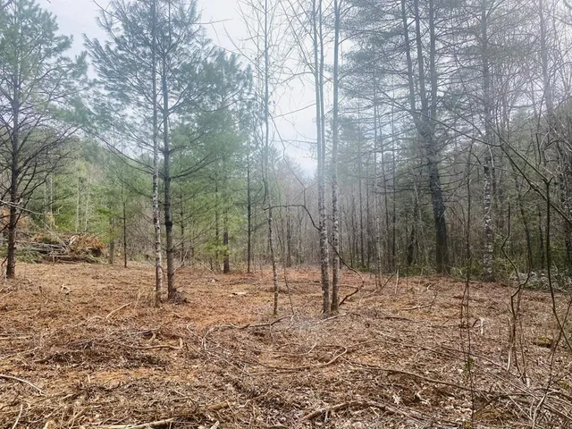 $980,612 | 0 Flea Mountain Road, Murphy, NC 28906