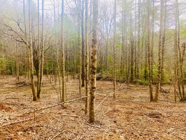 $899,900 | 0 Flea Mountain Road, Murphy, NC 28906