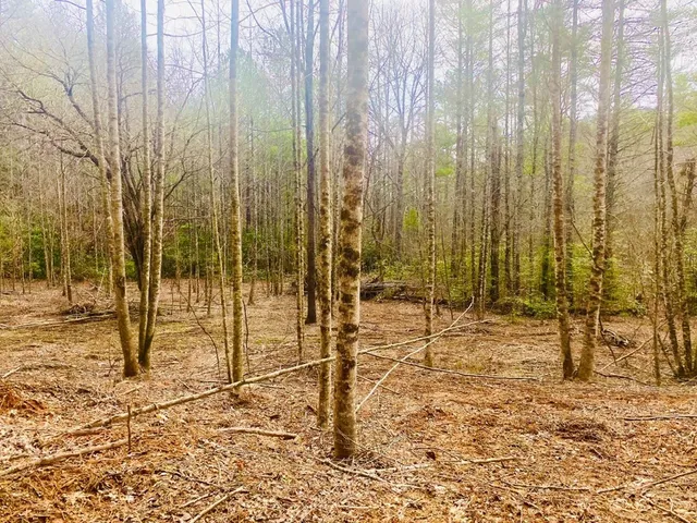 $980,612 | 0 Flea Mountain Road, Murphy, NC 28906