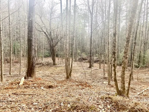 $899,900 | 0 Flea Mountain Road, Murphy, NC 28906