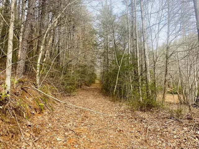 $980,612 | 0 Flea Mountain Road, Murphy, NC 28906