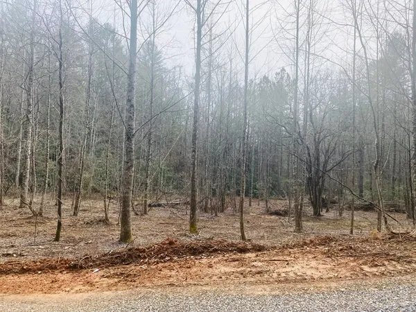 $899,900 | 0 Flea Mountain Road, Murphy, NC 28906
