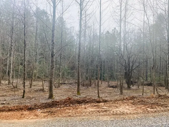 $980,612 | 0 Flea Mountain Road, Murphy, NC 28906